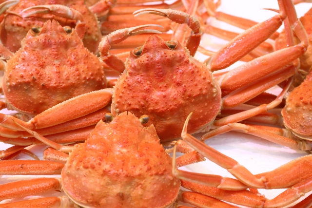 蟹の冷凍方法は？解凍後も美味しく食べられる保存方法を紹介