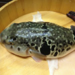 猛毒に気をつけてフグを楽しもう