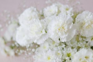 母の日にカーネーションを贈る意味～亡き母への強い愛情～