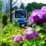 【マツコの知らない世界】箱根を楽しんで満喫しよう！