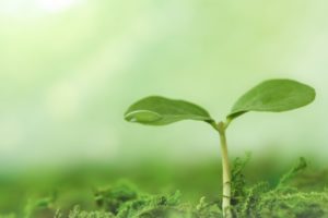 【ぐんぐん成長グミ】セノッピーで成長期の栄養チャージ!保険つき成長サポートグミの実力とは?!