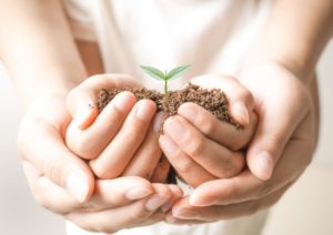 通信教育を比較する「進研ゼミ」