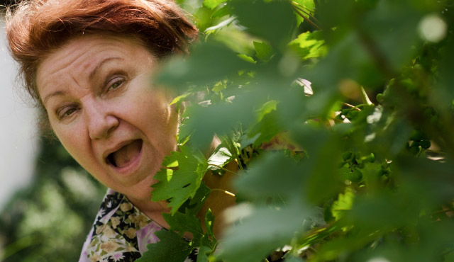 木陰から覗く女性